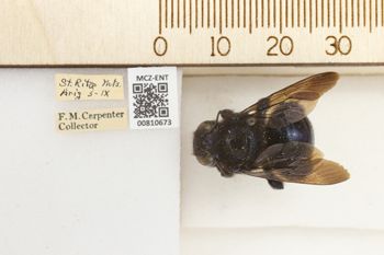 Media type: image;   Entomology 810673 Aspect: labels